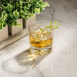 JoyJolt - Radiant Double Old Fashioned Glass Tumbler Drinking Glass