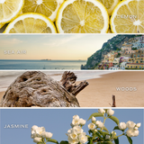 Sweet Water Decor - Coastal Lemon Reed Diffuser - Gifts & Home Decor
