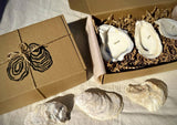 Martini Candle Co. - Oyster Gift Set of 3 Candles : Wrapped w/ Bow / 6 / Unscented