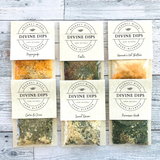 Divine Dips - BEST of the BEST Bundle 6 Pack