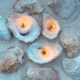 Martini Candle Co. - Oyster Gift Set of 3 Candles : Wrapped w/ Bow / 6 / Unscented