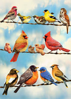 Outset Games and Cobble Hill Puzzles - Birds on a Wire 500pc puzzle