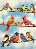 Outset Games and Cobble Hill Puzzles - Birds on a Wire 500pc puzzle