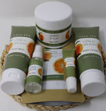 Northwoods Food and Gift Enterprises - The Laze Spa Citrus Splash Bath and Body Products: Citrus Splash Body Wash