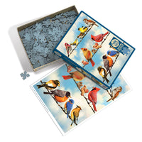 Outset Games and Cobble Hill Puzzles - Birds on a Wire 500pc puzzle