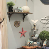Zeckos - Elegant Cast Iron Nautilus Shell Trivet