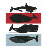 Fridgedoor - 2.5'' x 3.5'' Provincetown Whales Magnet
